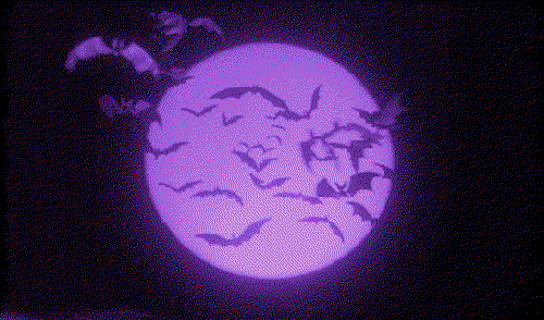 Lil Lilac profile banner