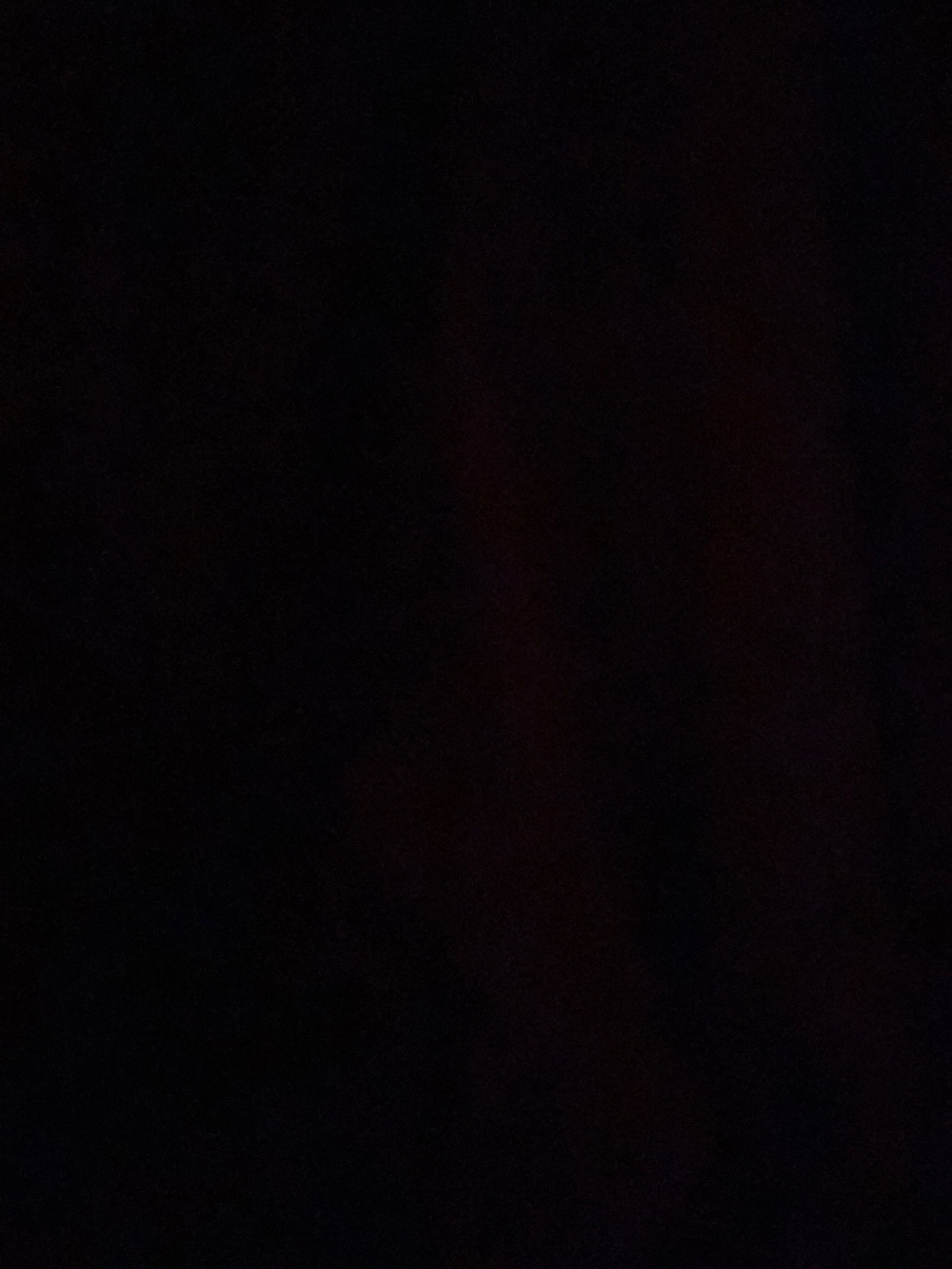 Bunni profile banner