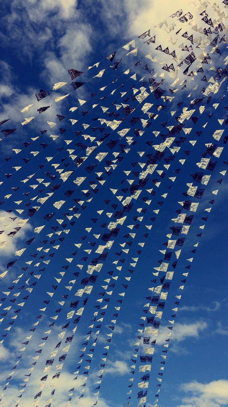 π profile banner