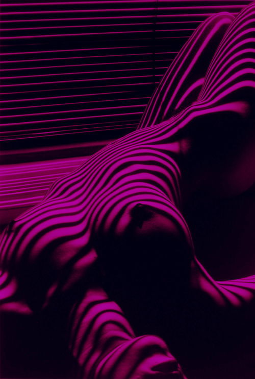 Vit profile banner