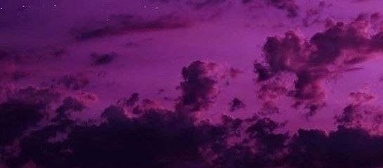 Viv. profile banner