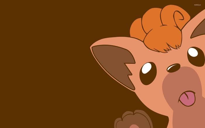Vixen6Vulpix profile banner