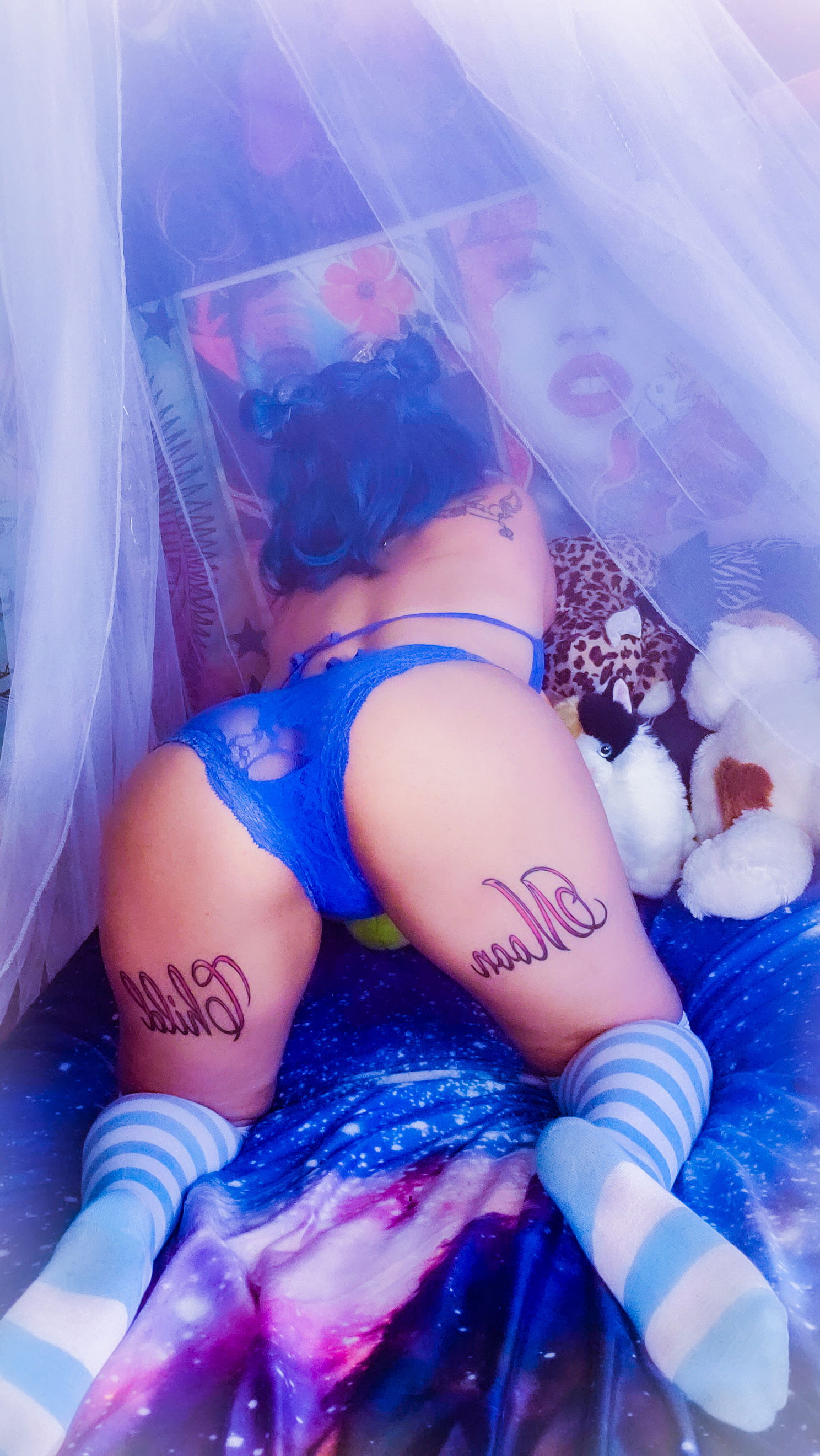 ππ¦Vixen Moon π¦π profile banner