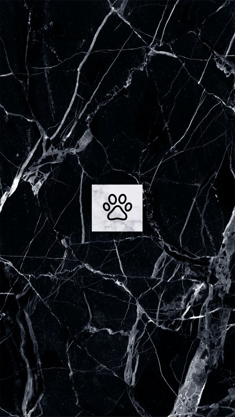 Vixxy ☾ profile banner