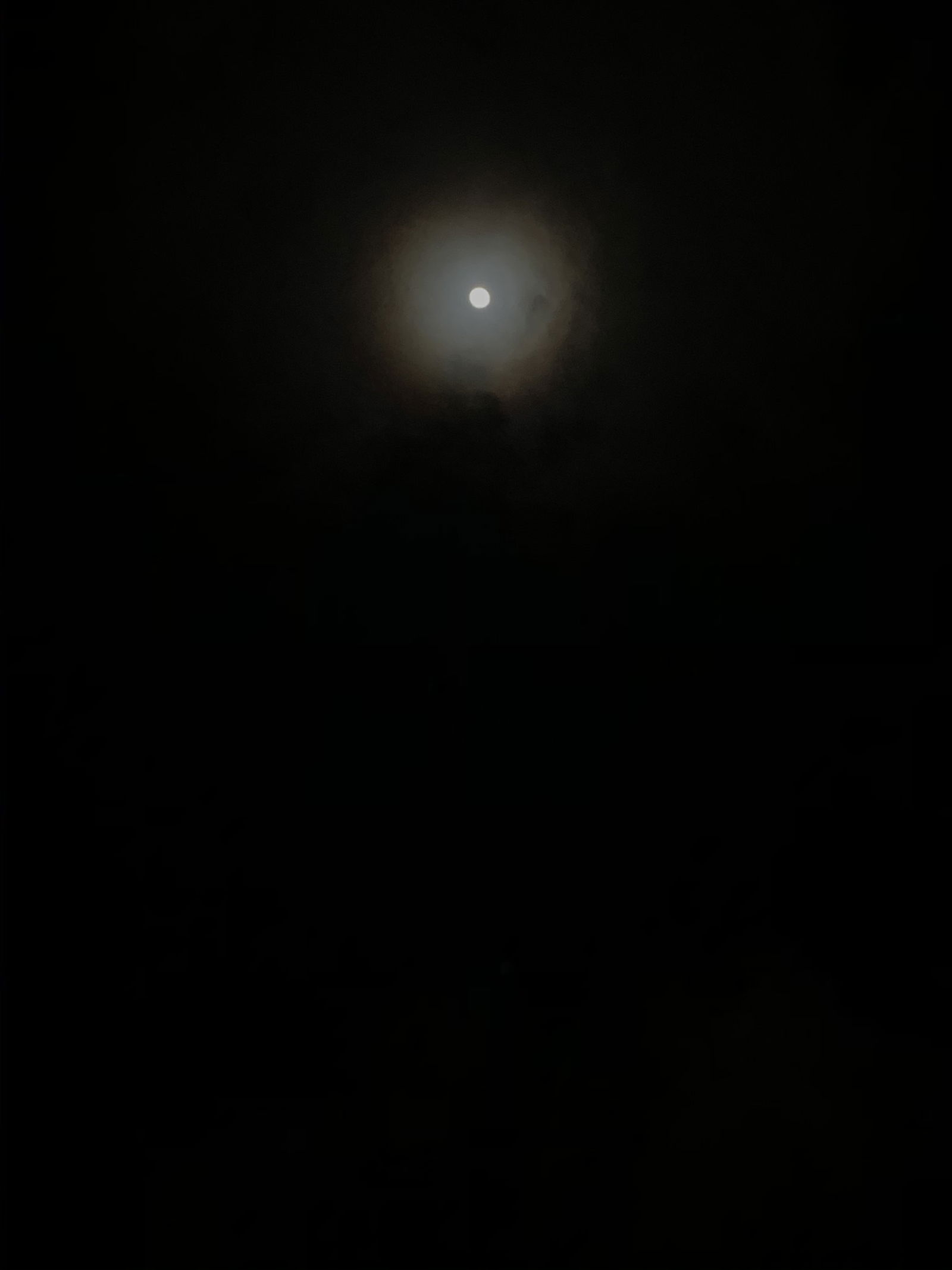 Sean profile banner