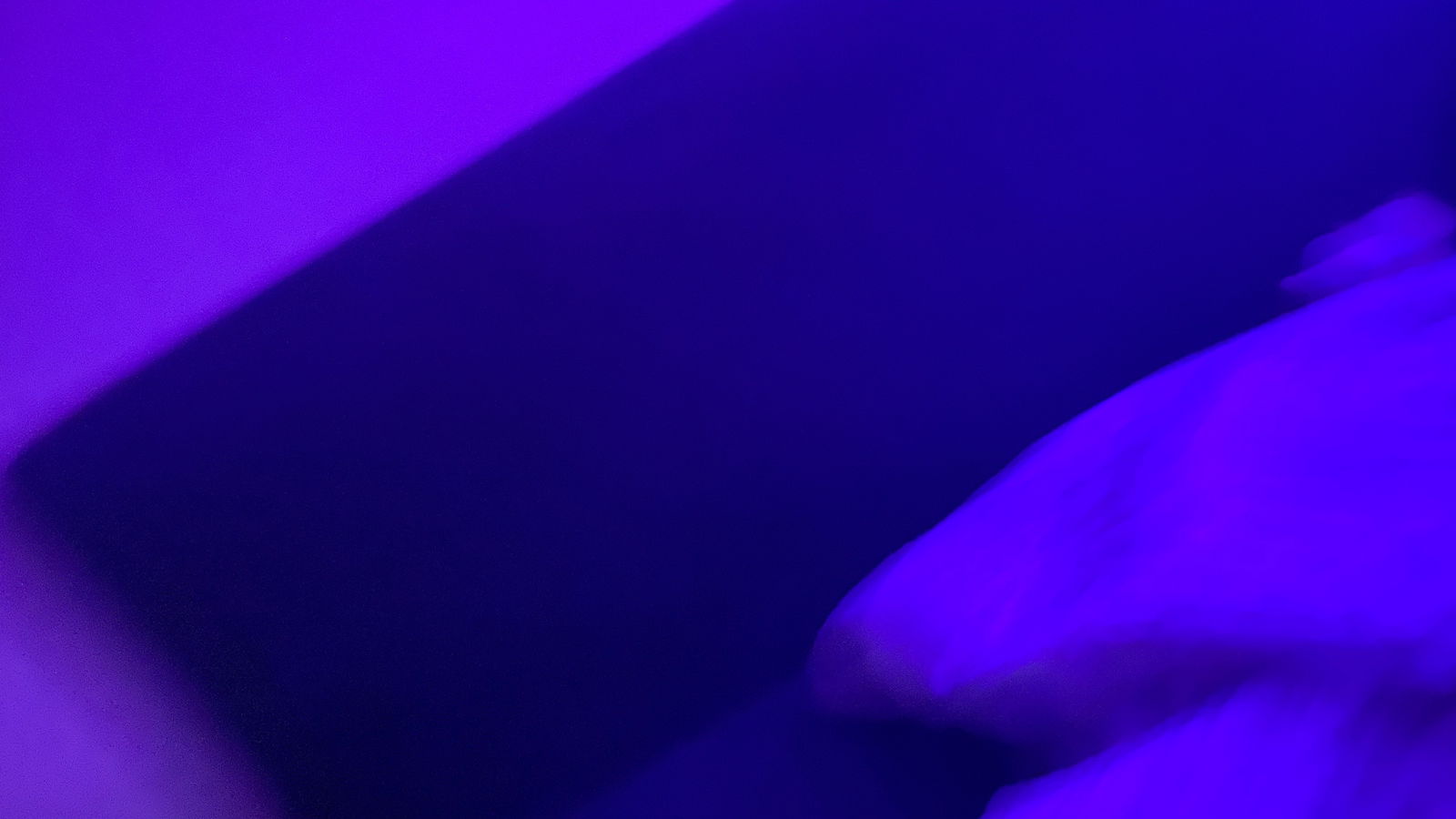WankBoy profile banner