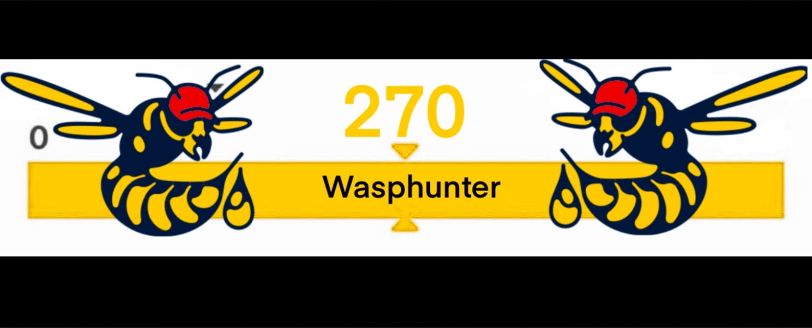 Wasphunter ππ₯ profile banner