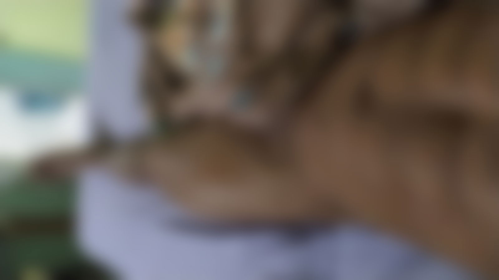 Wesley Alves profile banner