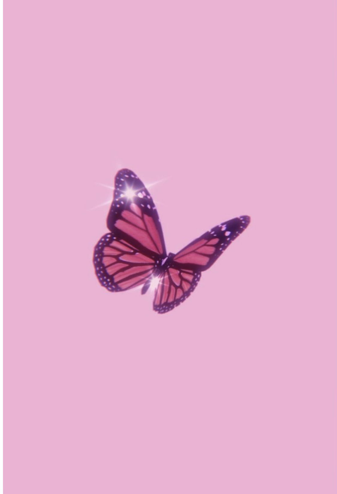 Honey profile banner