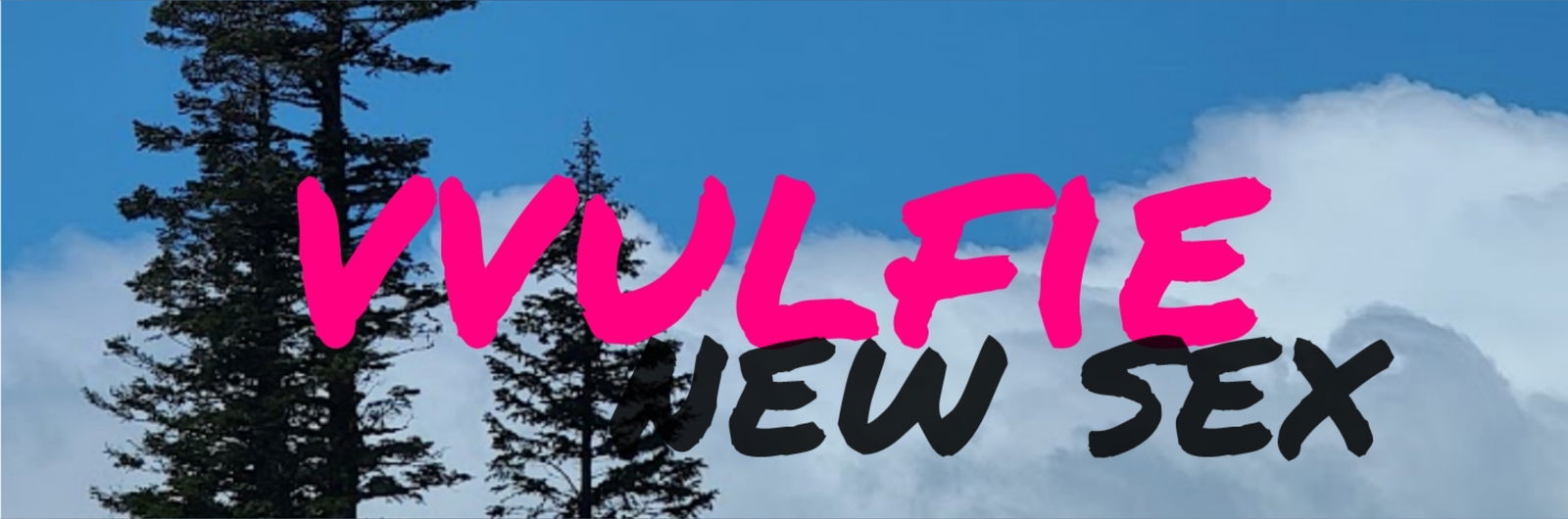 @vvulfie profile banner