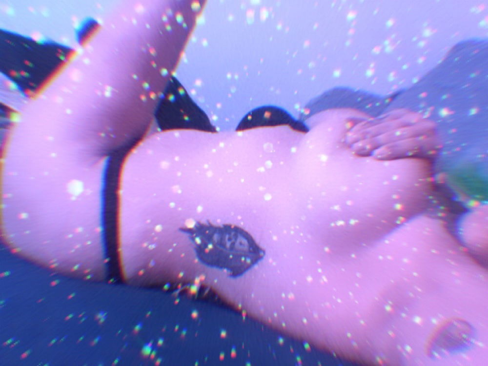 whiskertits profile banner