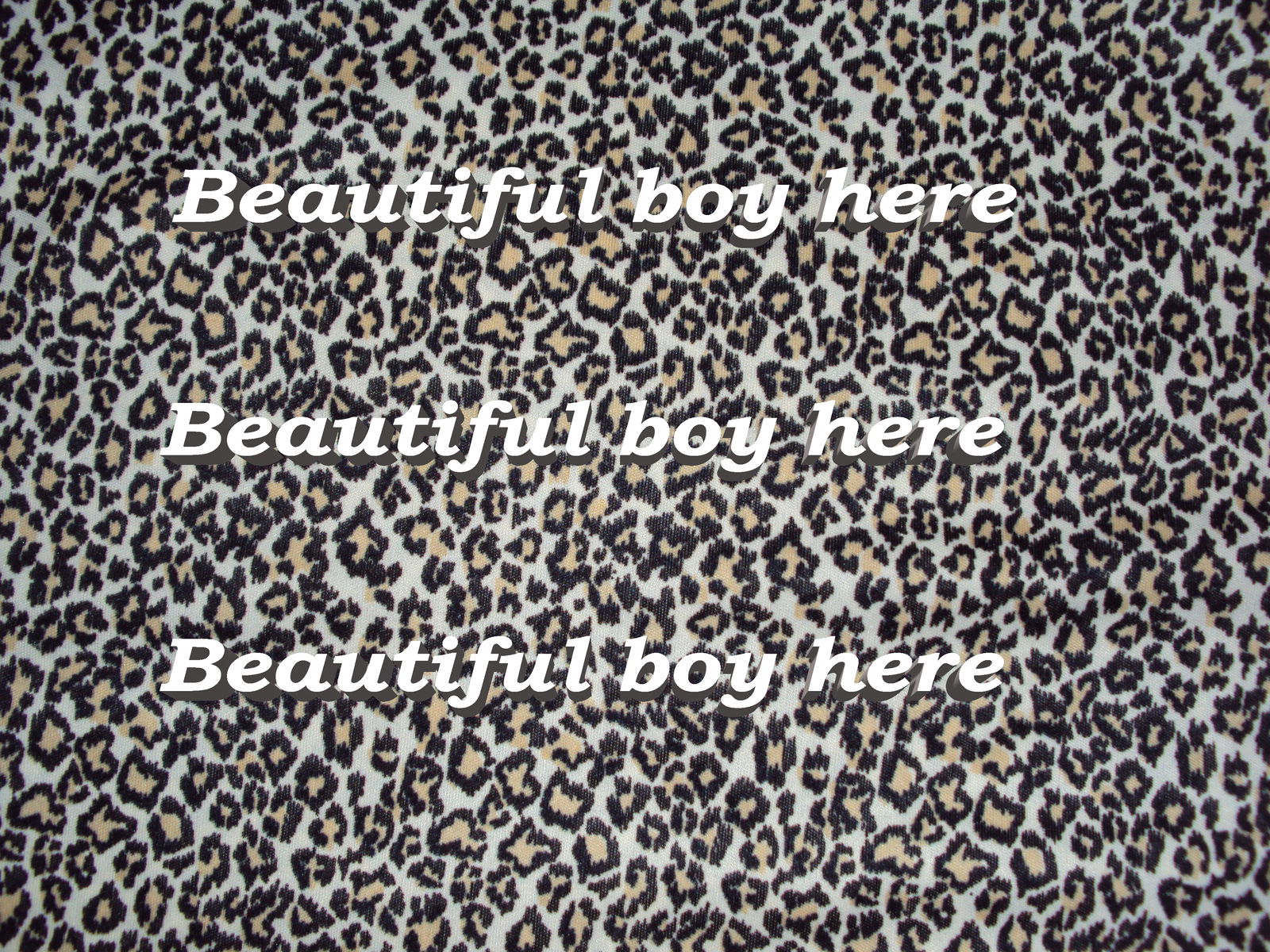 ☮️🌈Daddy will look at your dick💕pussy profile banner
