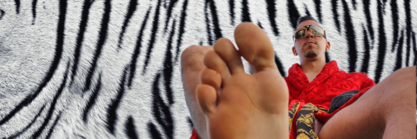 π White Tiger π profile banner