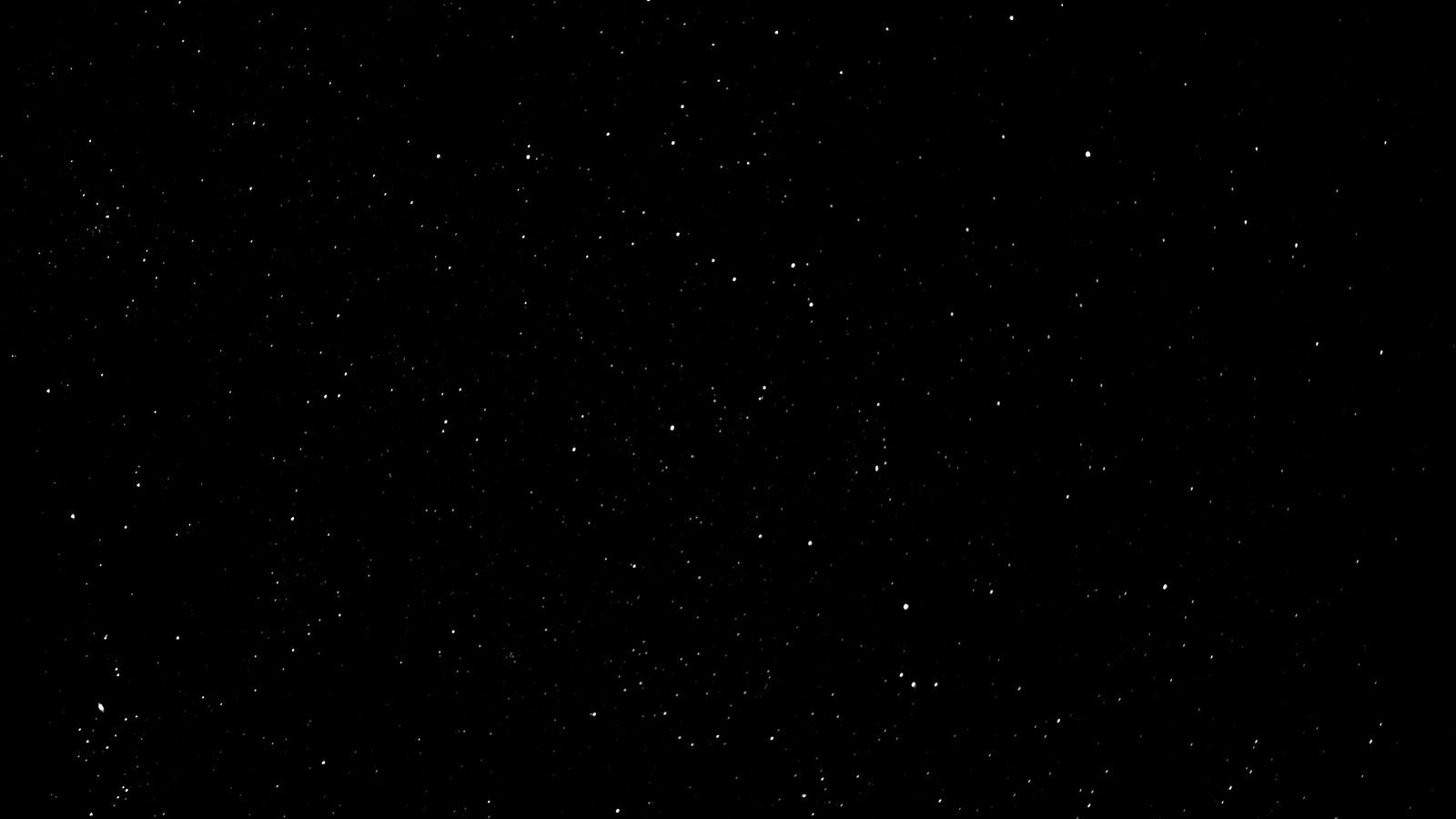 whynot ASMR profile banner