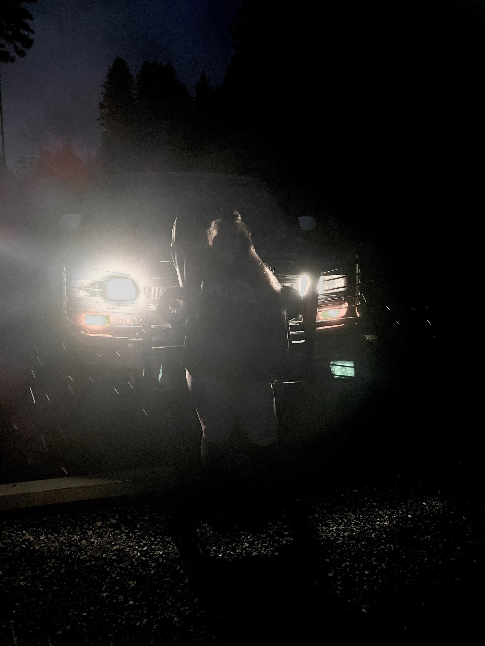 Jenn profile banner