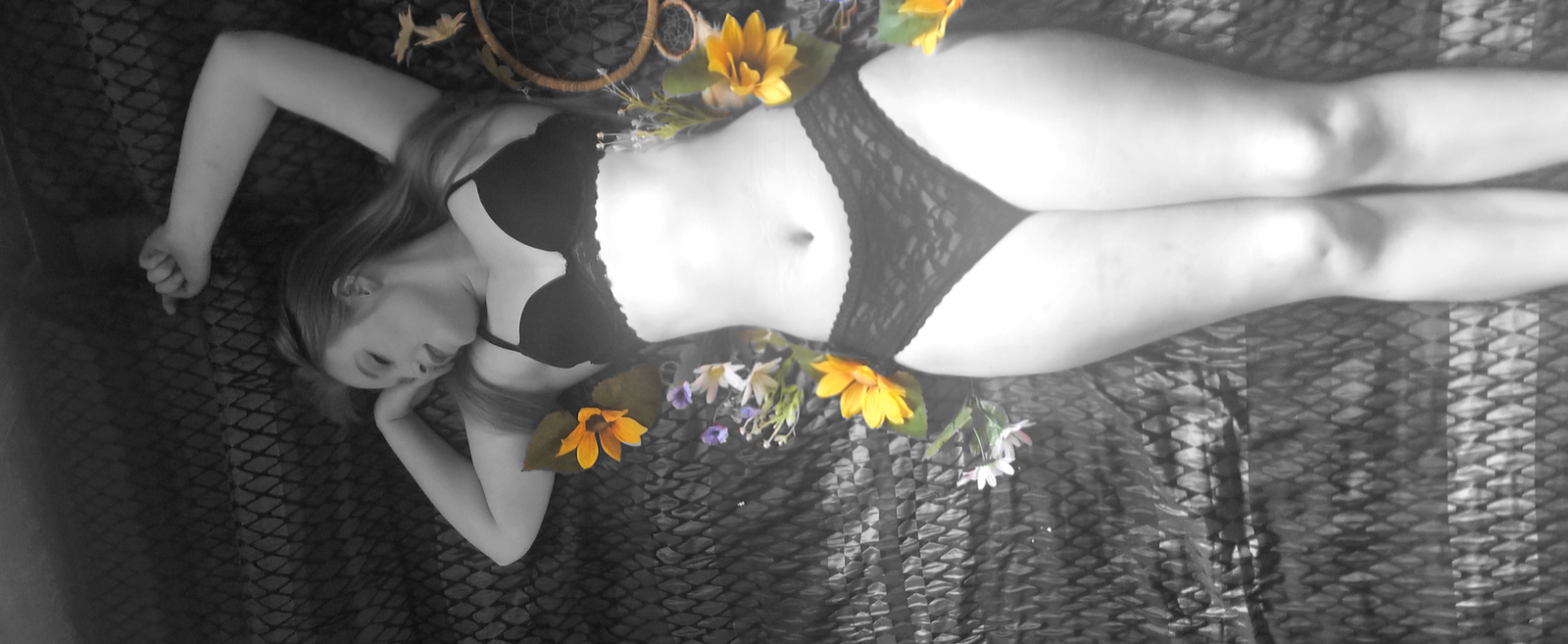 Daisy profile banner