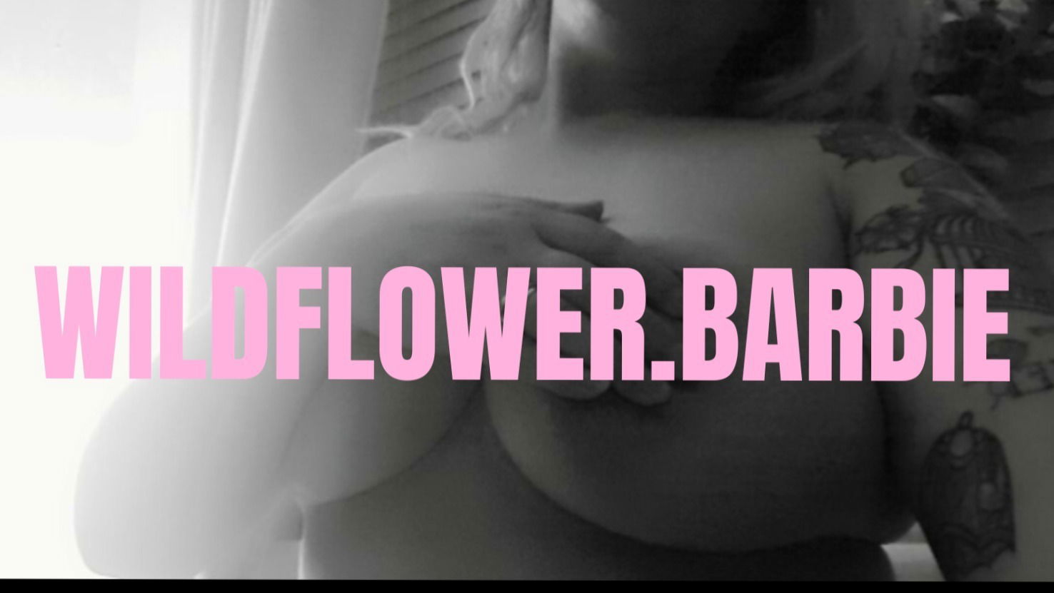 Wildflower.Barbie profile banner