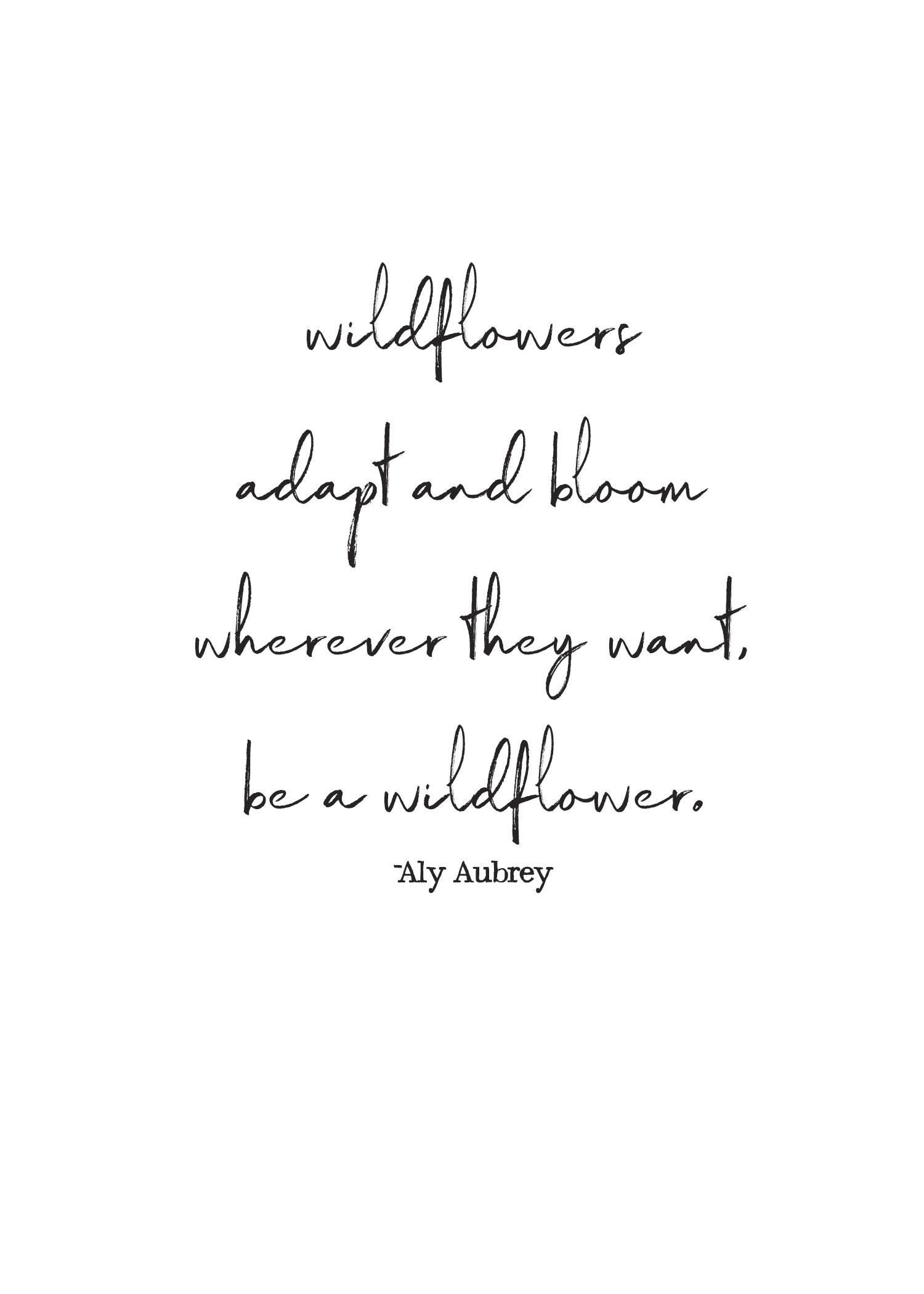 Wildflowers profile banner
