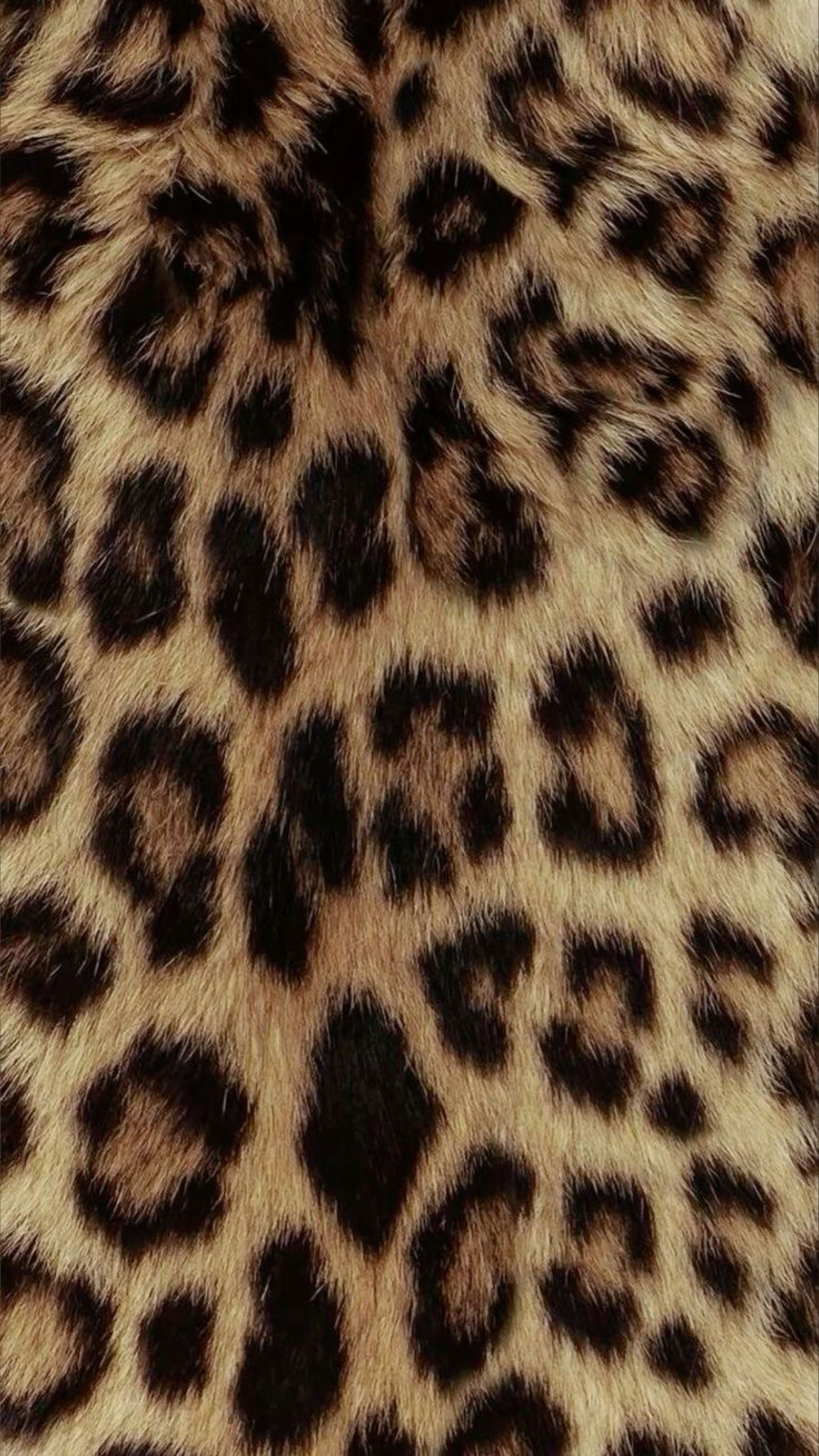 Ayden profile banner