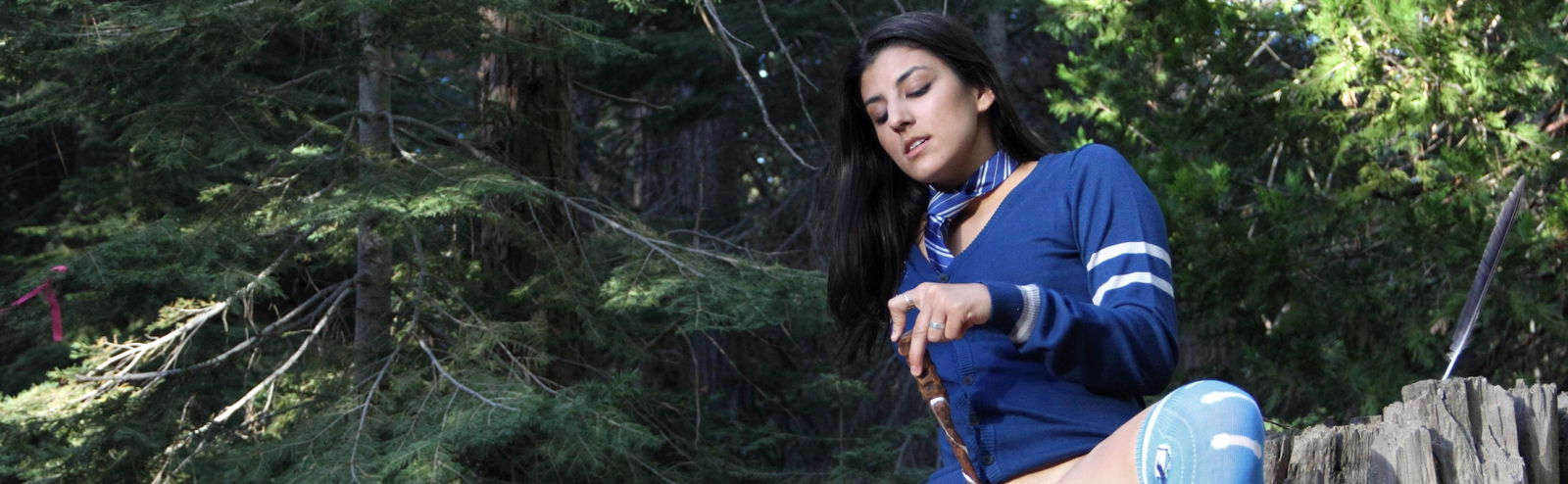 Leila Wilde profile banner