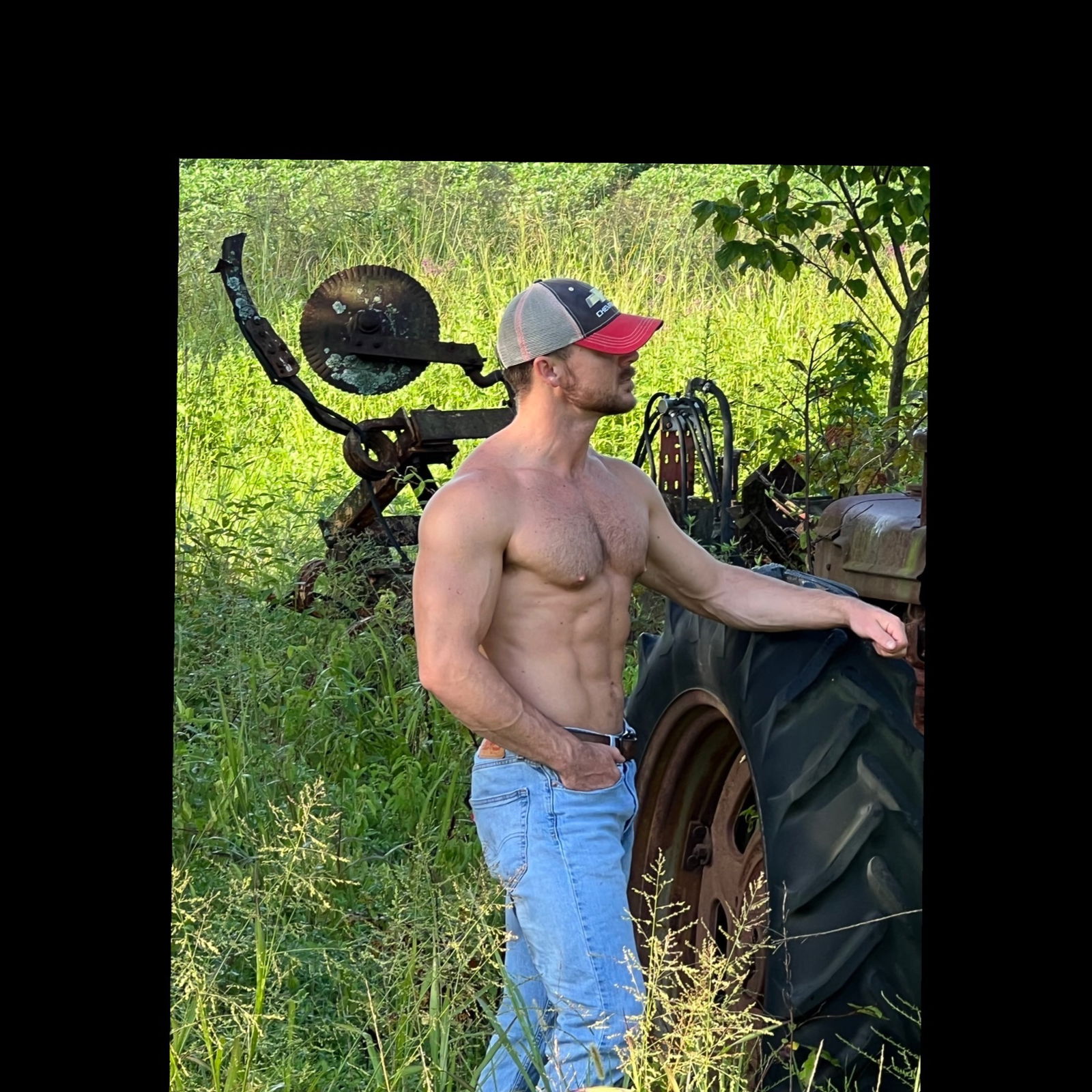 Wildman profile banner