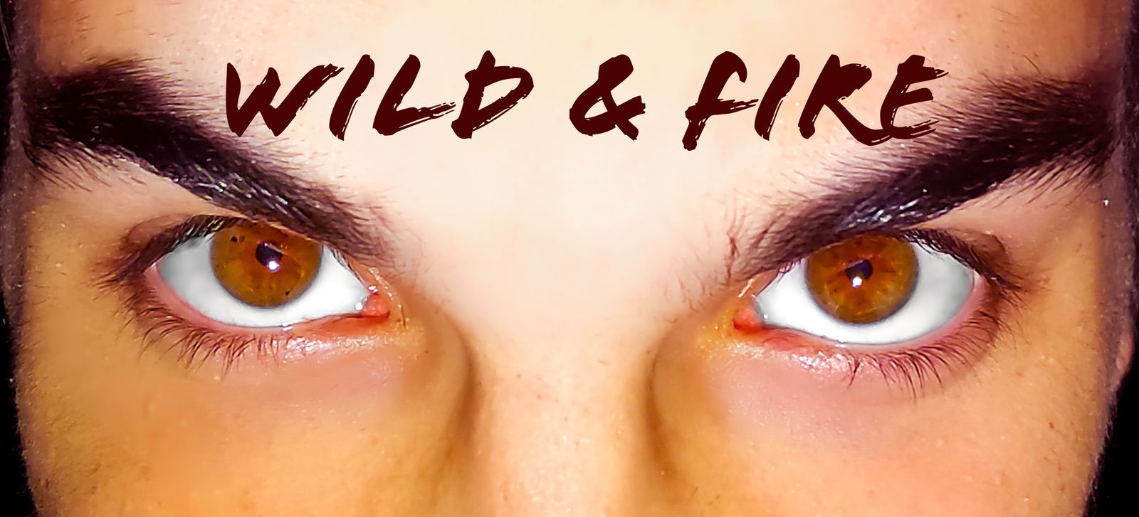Wild Fire profile banner