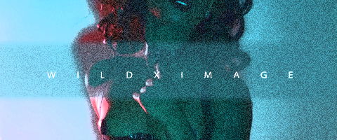 Wildximage profile banner