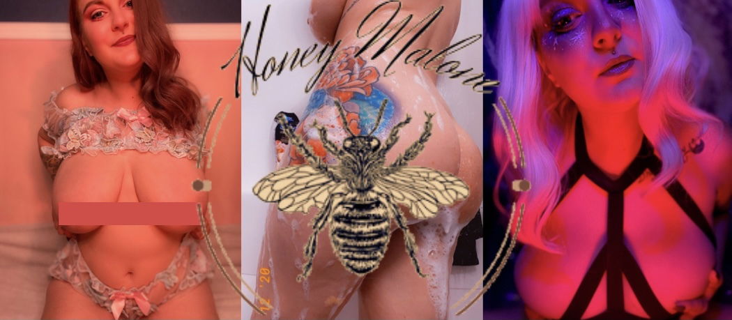 Honey 🍯 profile banner