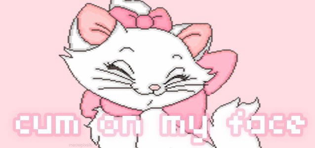 ππΌ π profile banner