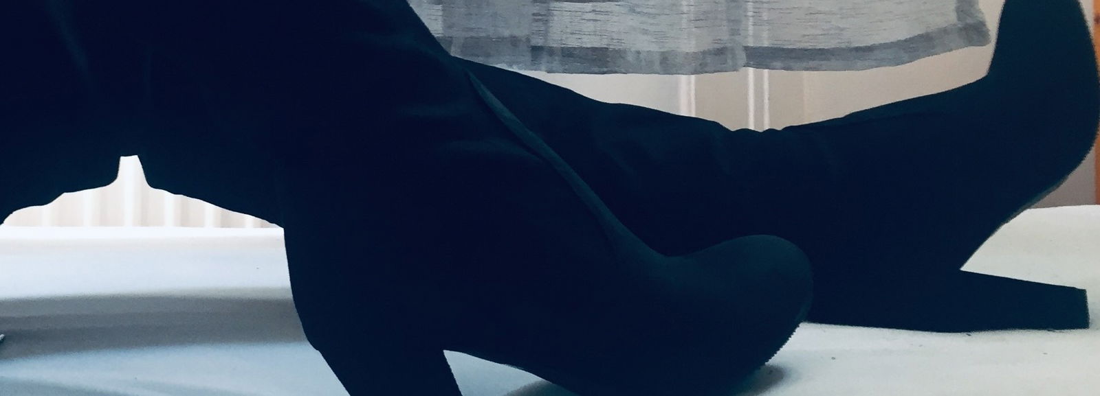 WinterWolf profile banner