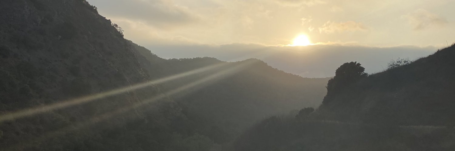 Chanelle Wolfe profile banner