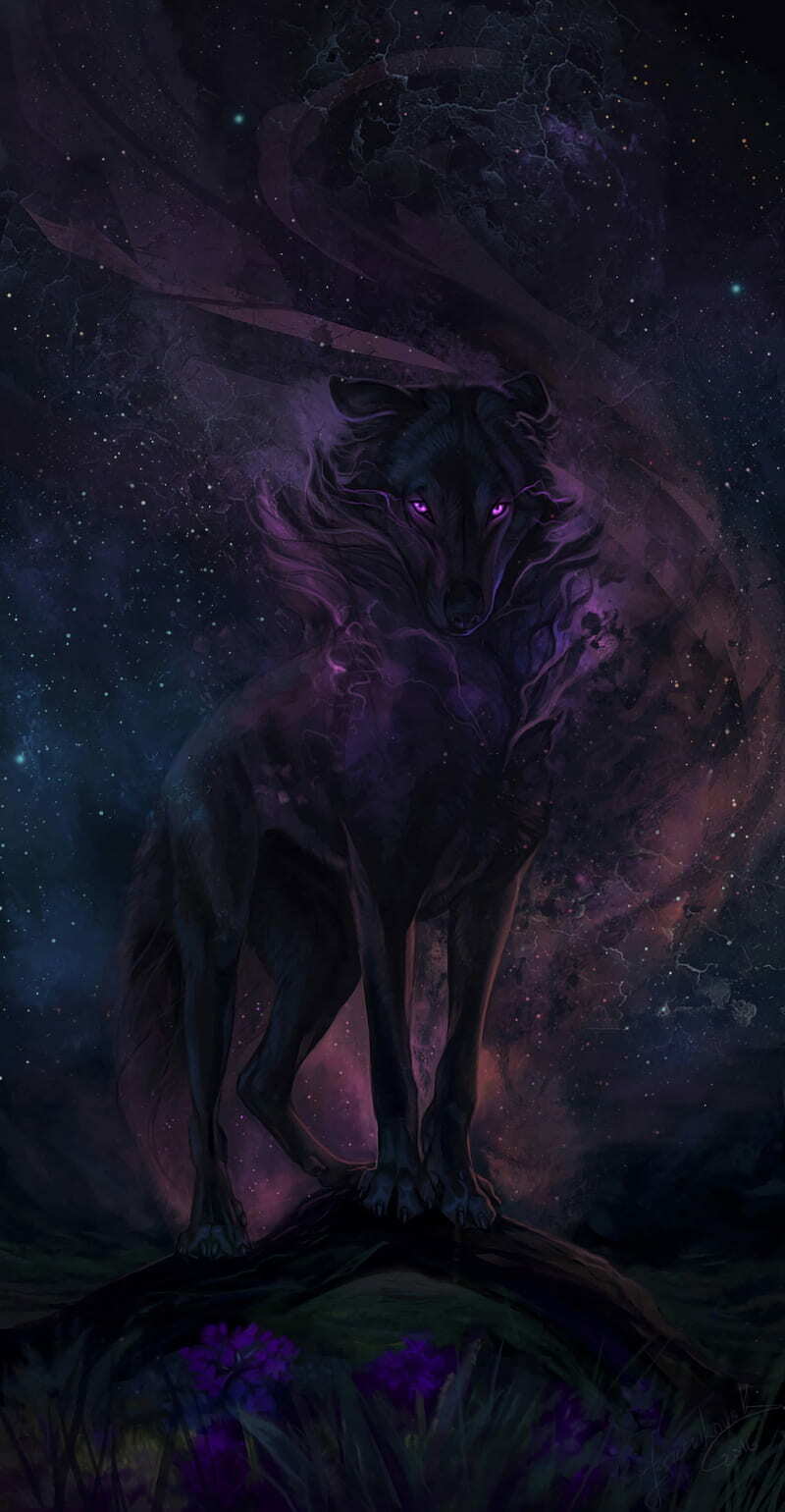 WolfCub297 profile banner