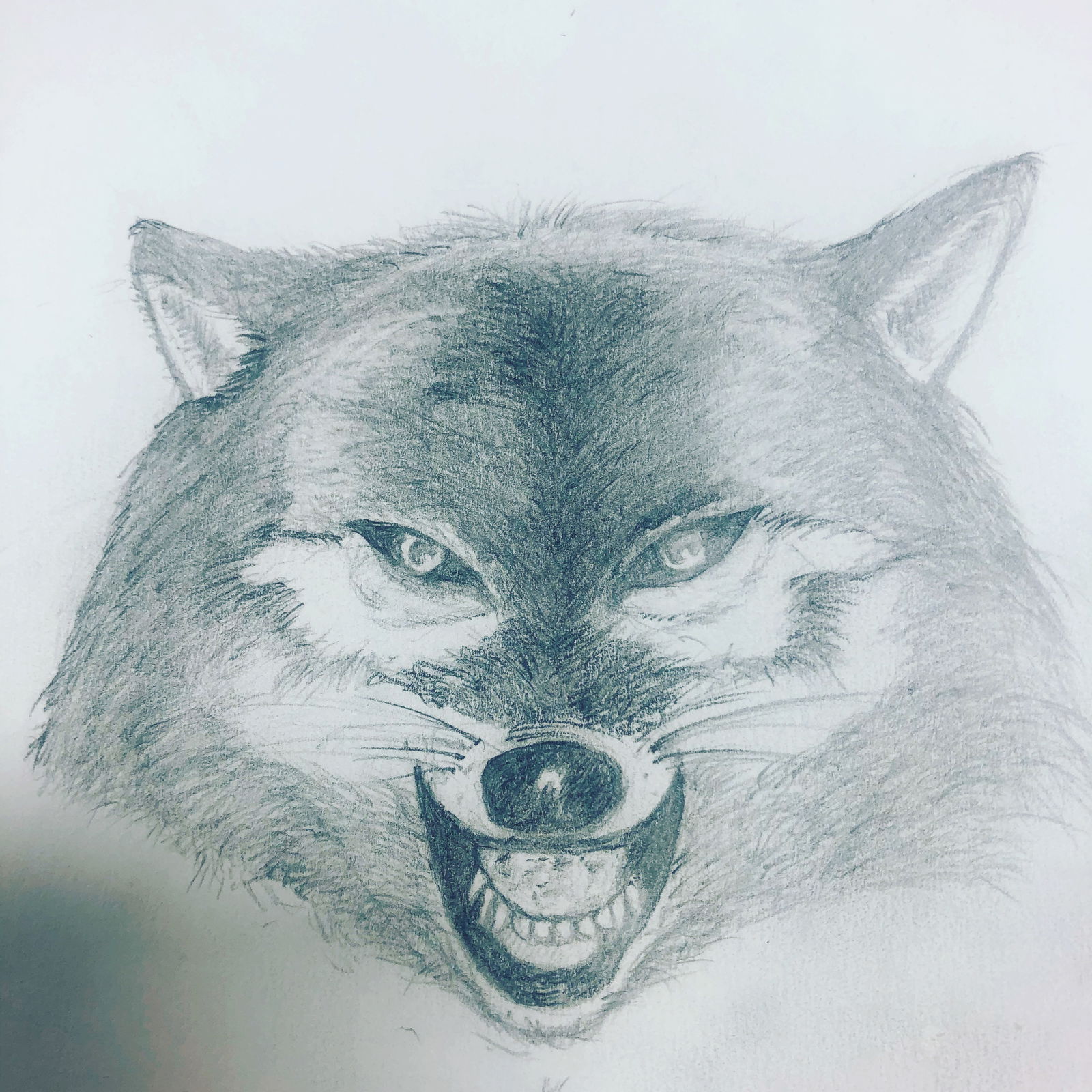 Wolfers37 profile banner