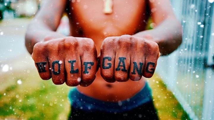 wolfgangdanielsfree banner