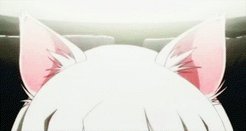 WolfieZaiah profile banner