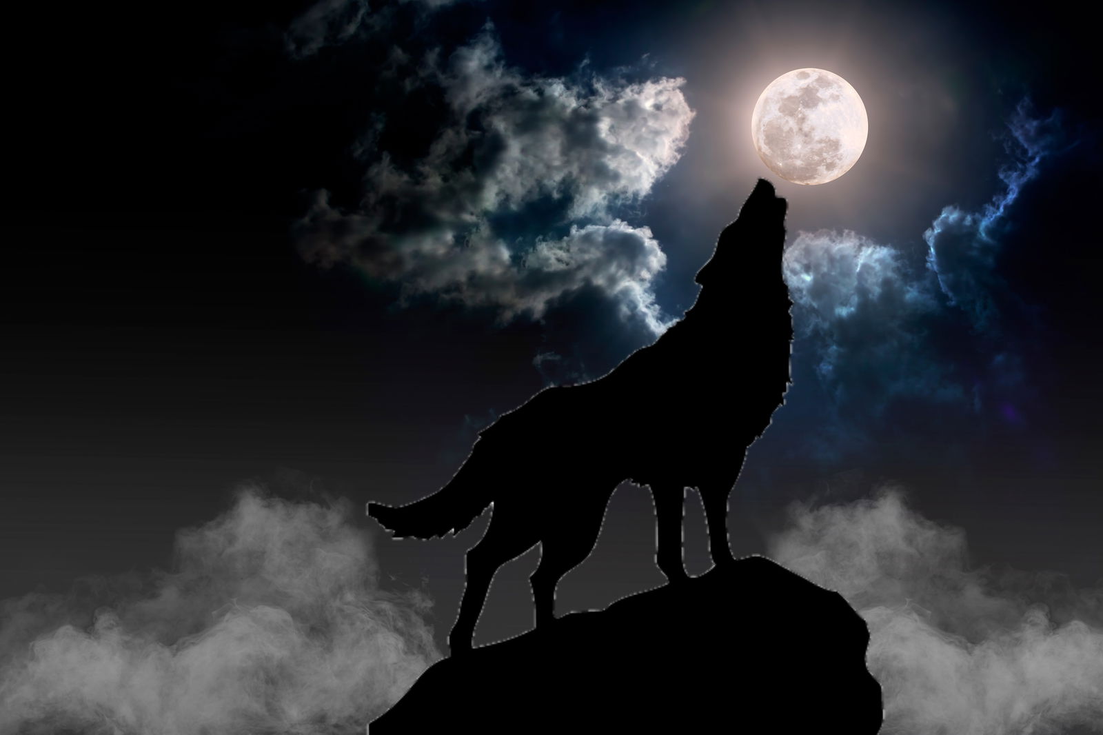 Wolfmoon8888 profile banner