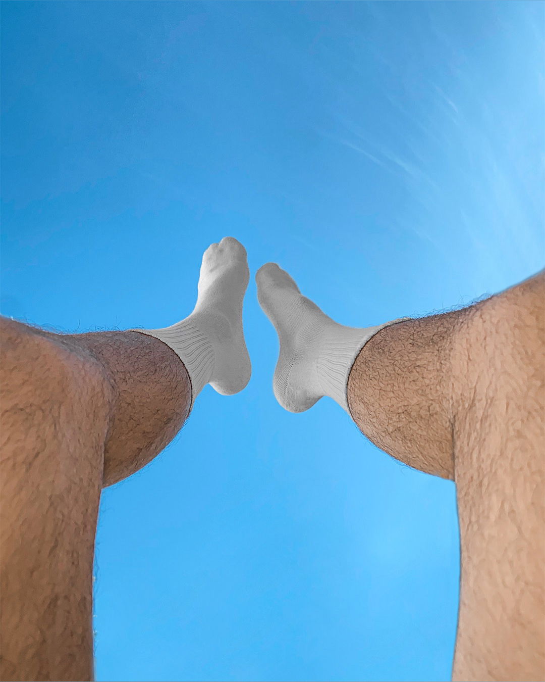 Wolf Socks profile banner