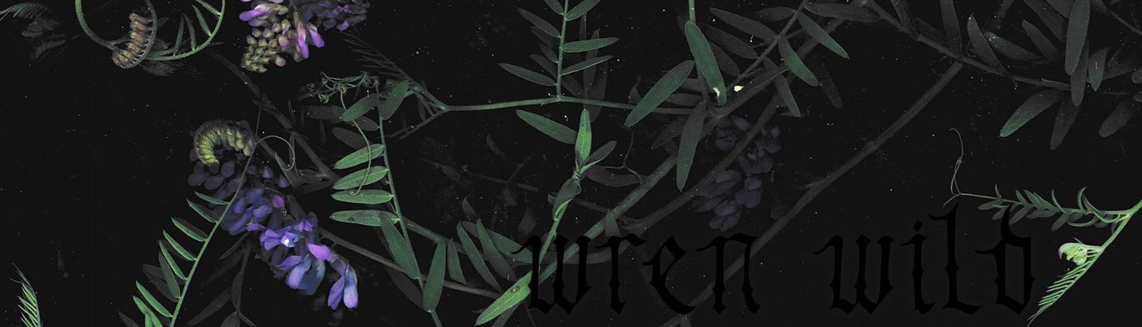 Wren Wild profile banner