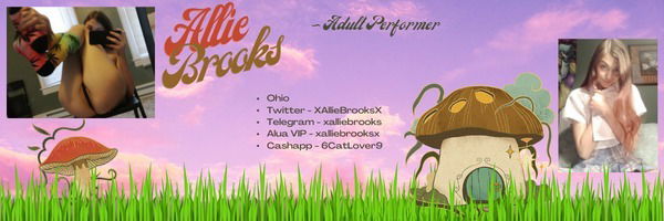 Allie Brooks profile banner