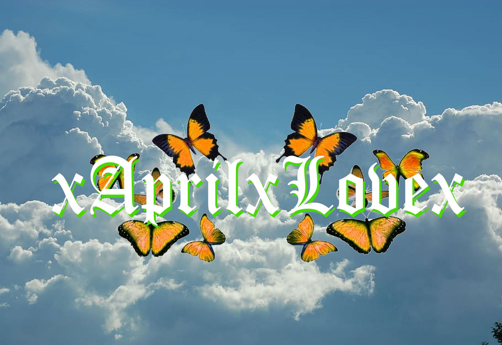 April Love profile banner