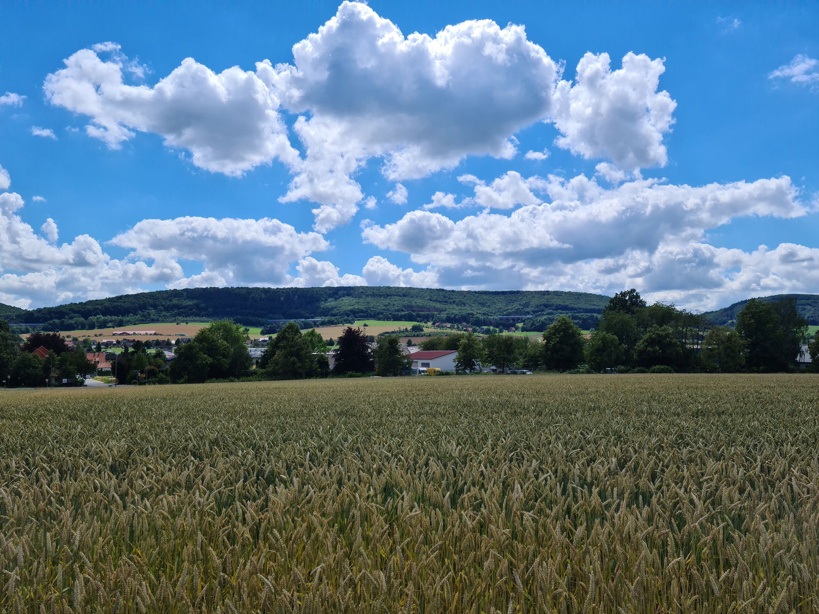 Xeharnot profile banner