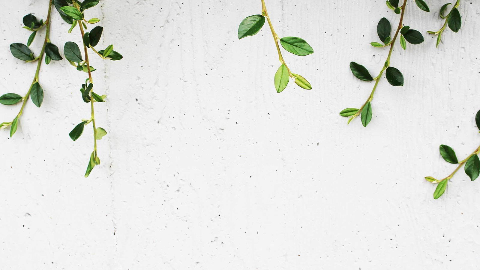 xGetDead profile banner