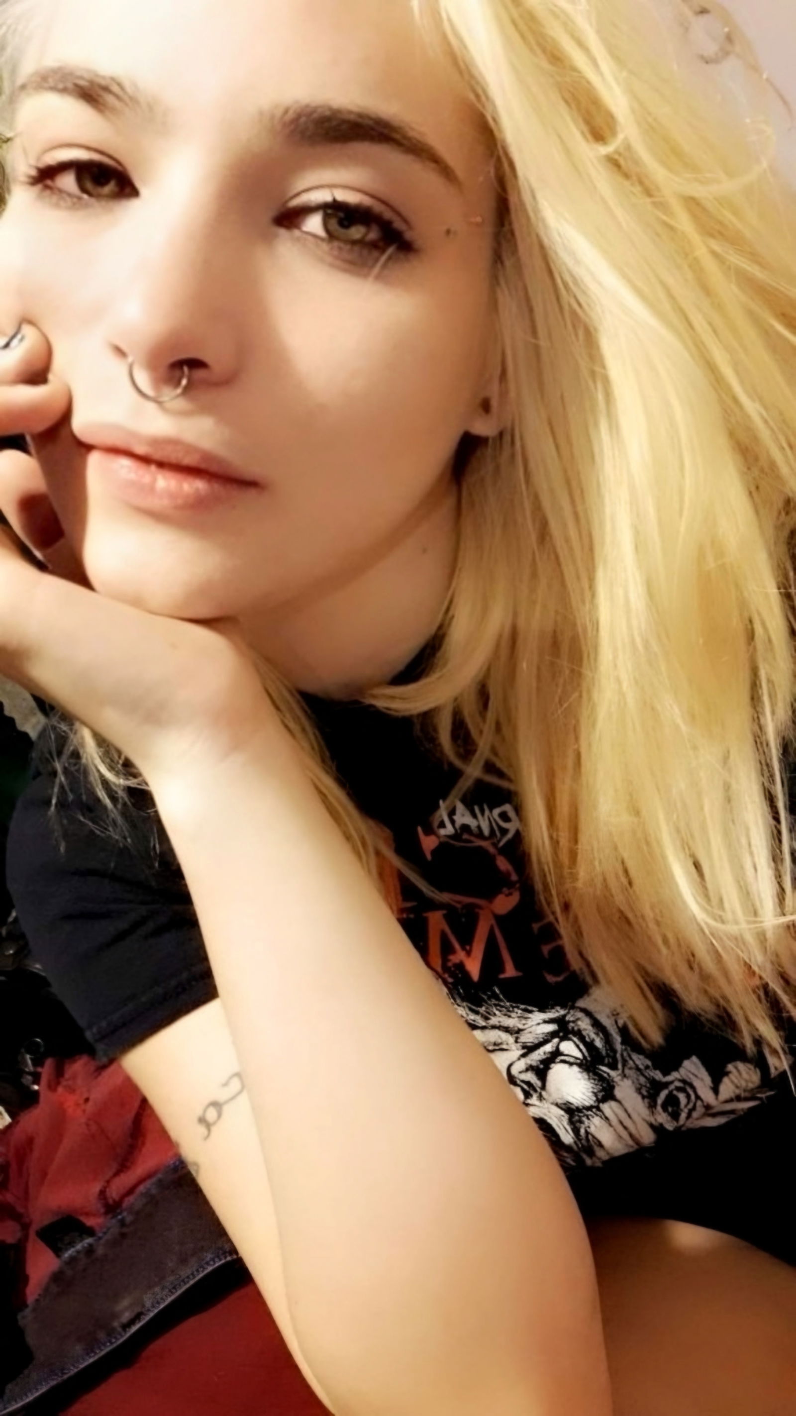 XKitten profile banner