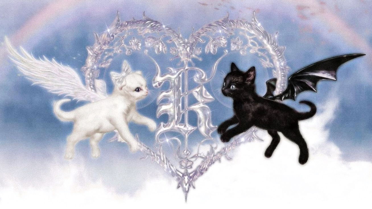 xmednisx banner
