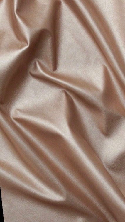 Amber π¦ profile banner