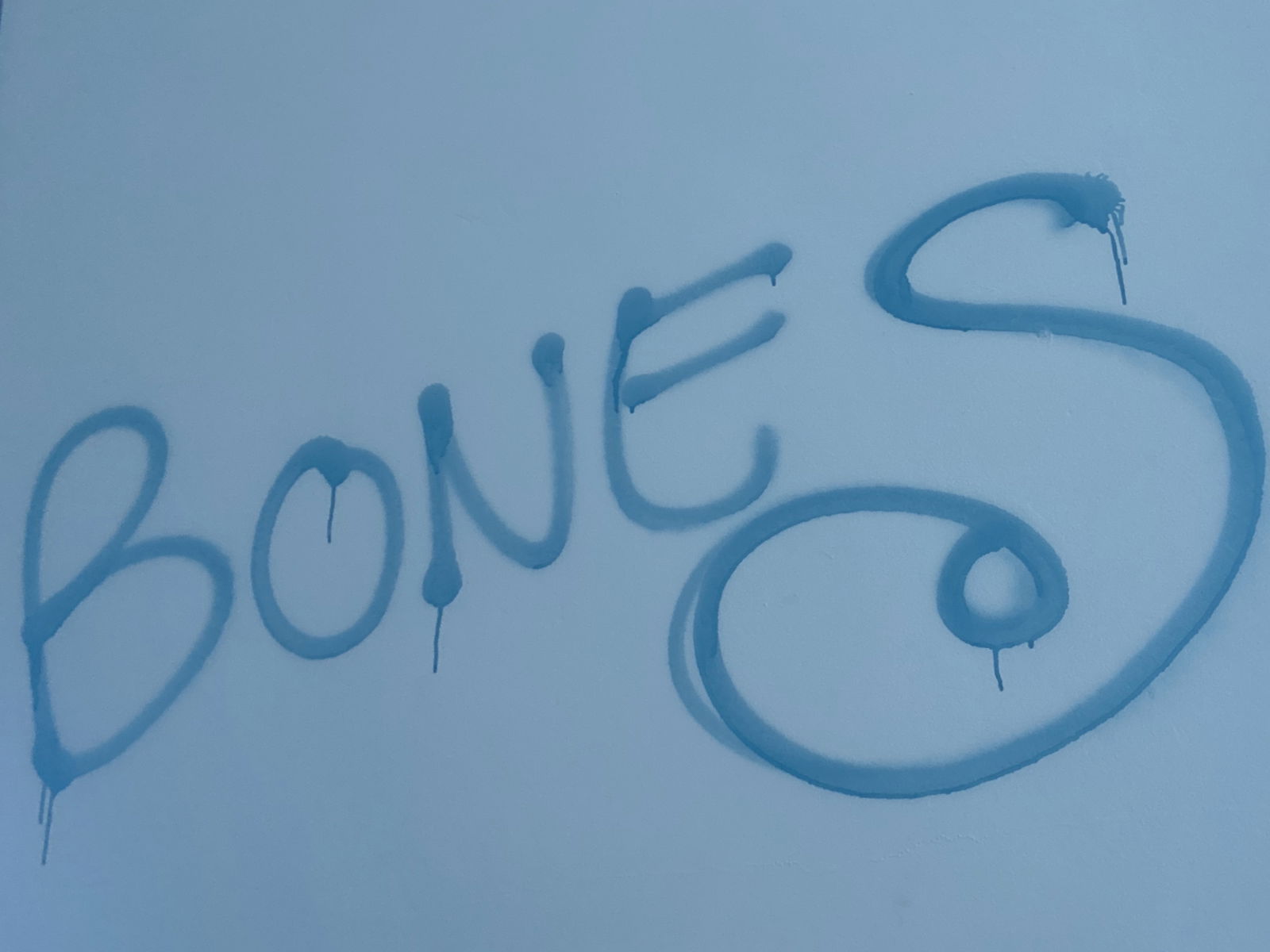 BONES profile banner