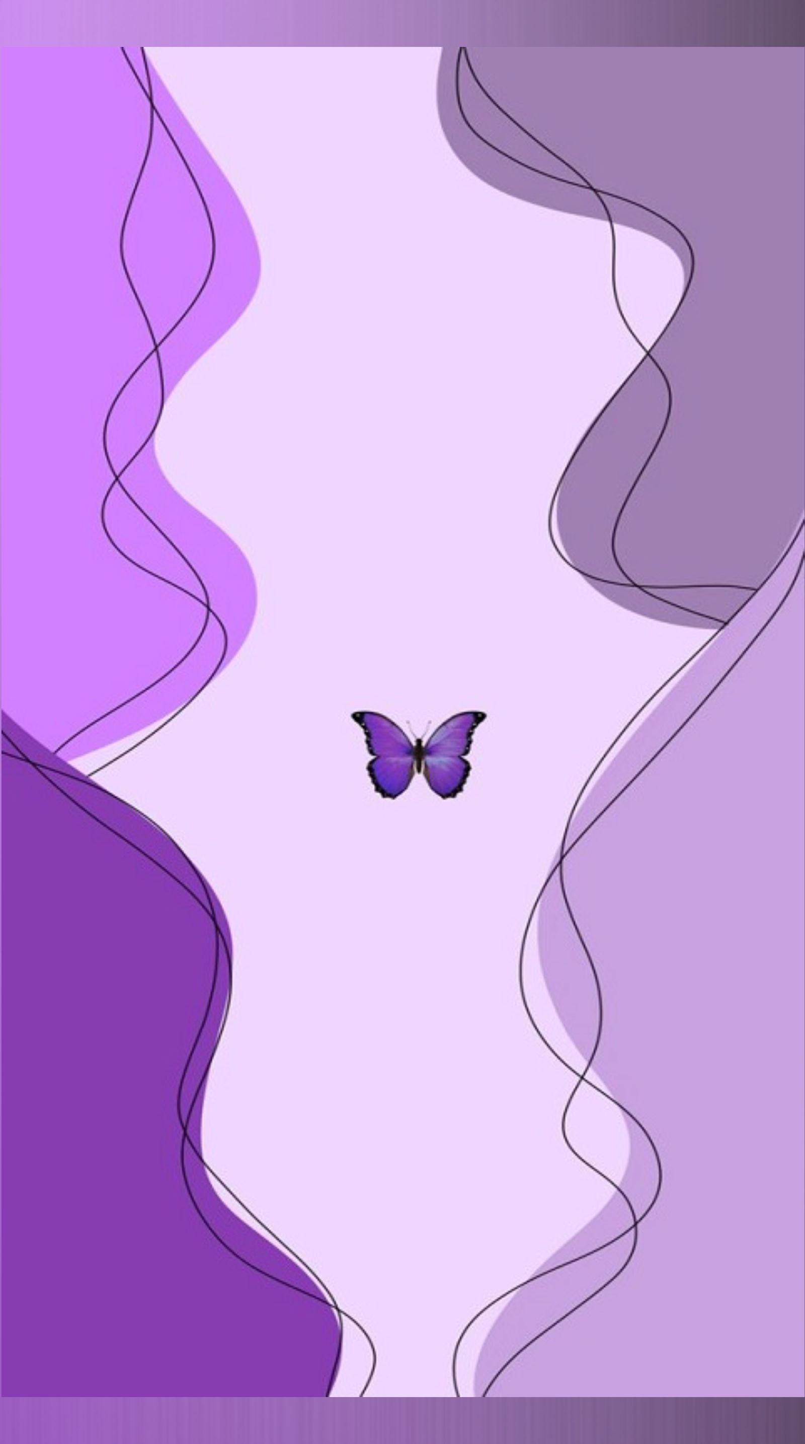 Shelley π profile banner