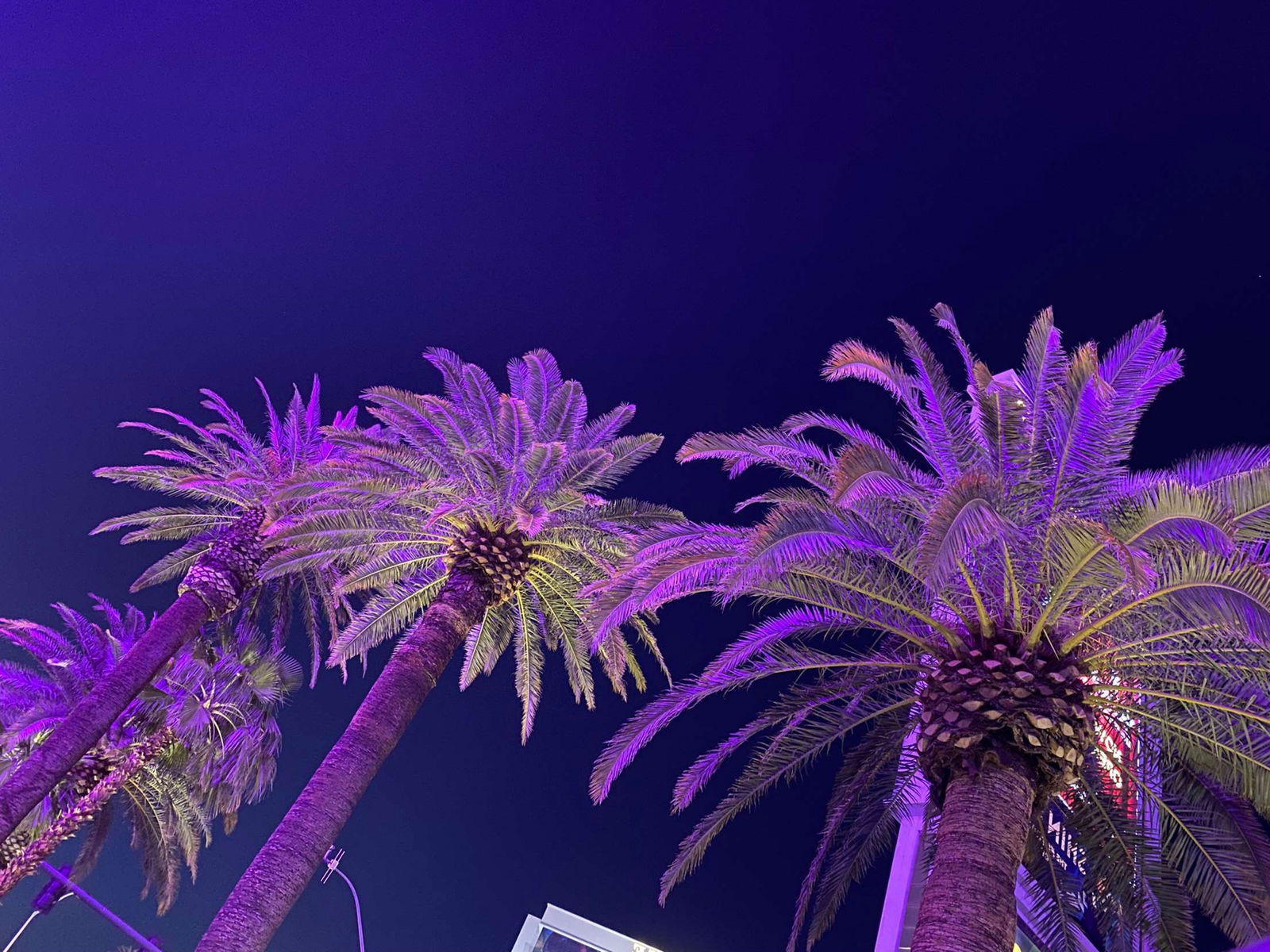 TsPari$!* profile banner