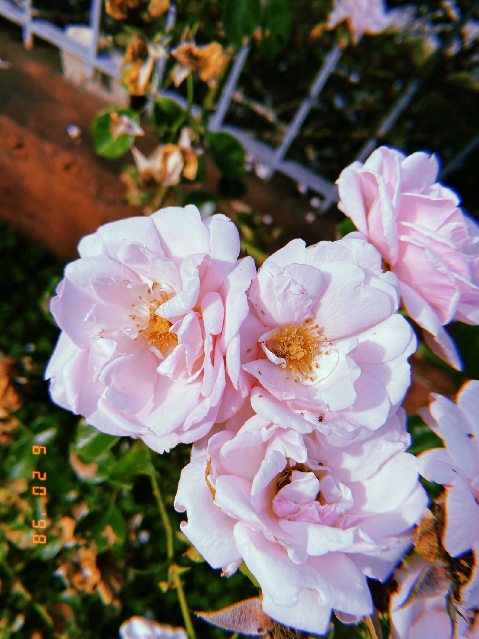 Karma profile banner