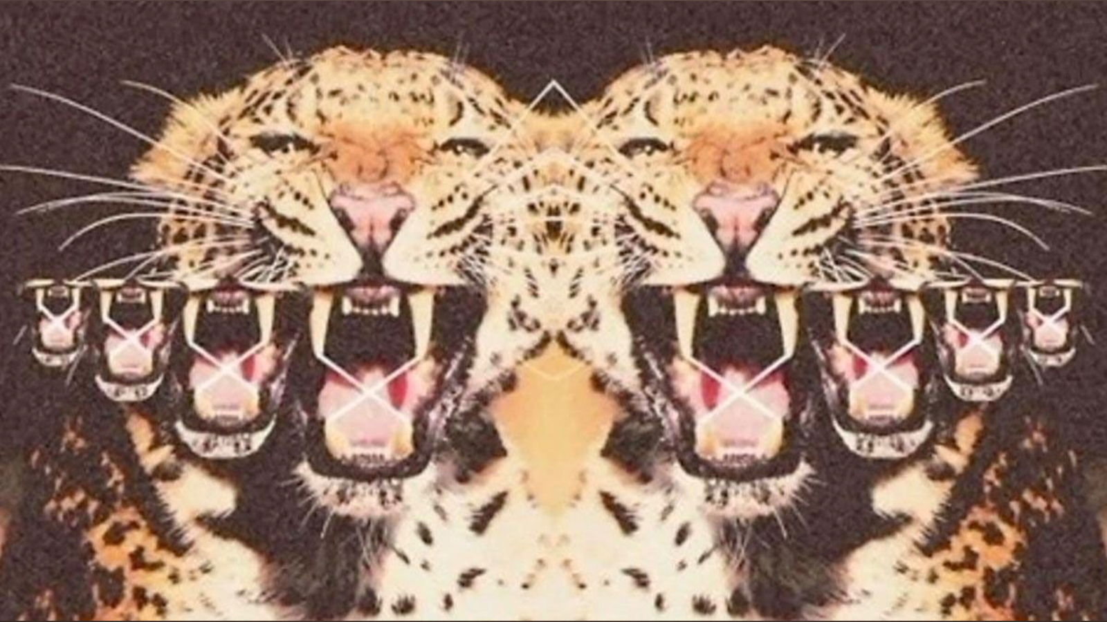 Xoxokelss profile banner